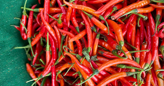 Does Cayenne Pepper Help With Erectile Dysfunction? The Real Answer