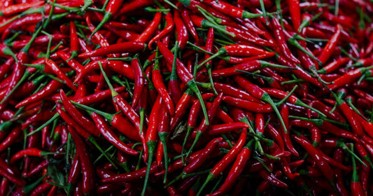 Best Cayenne Pepper for Blood Pressure: Natural Support That Works
