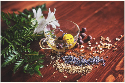 Natural Remedies for Improved Circulation: 7 Proven Methods